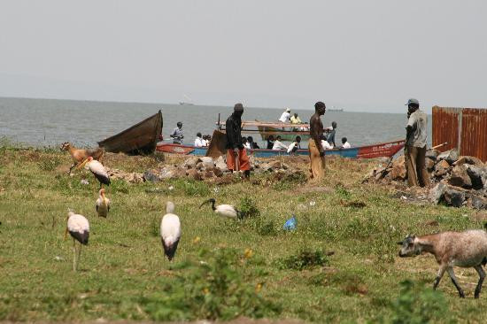 Dunga Bay-基苏木必去景点