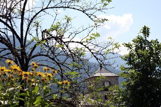 Jardin alpin La Jaÿsinia景点图片
