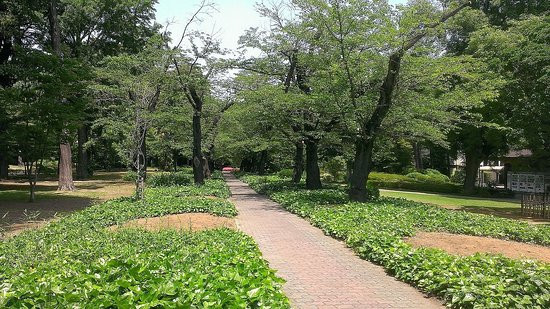 The Institute of Moralogy Kashiwa Campus-柏市必去景点