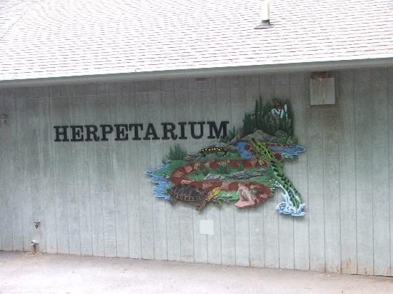 Bays Mountain Park & Planetarium-金斯波特必去景点