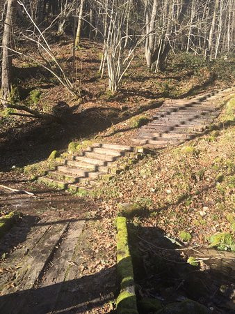 Cascade du Heidenbad-Wildenstein必去景点