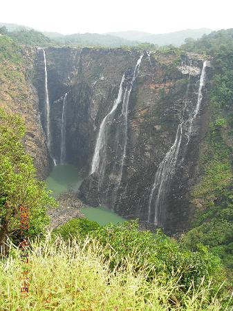 Jog Falls景点图片