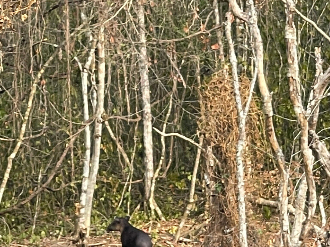 Experiencias Calakmul-卡拉克穆尔必去景点