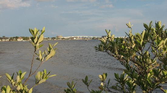 Bunche Beach景点图片