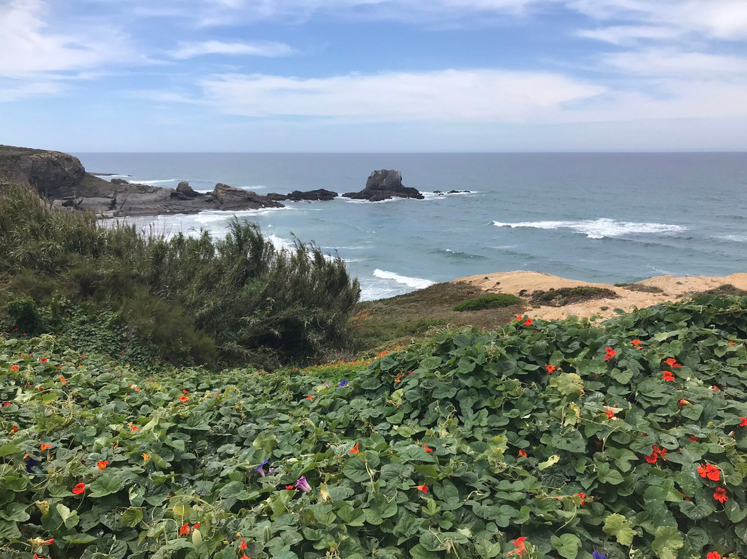 Praia de Zambujeira do Mar景点图片