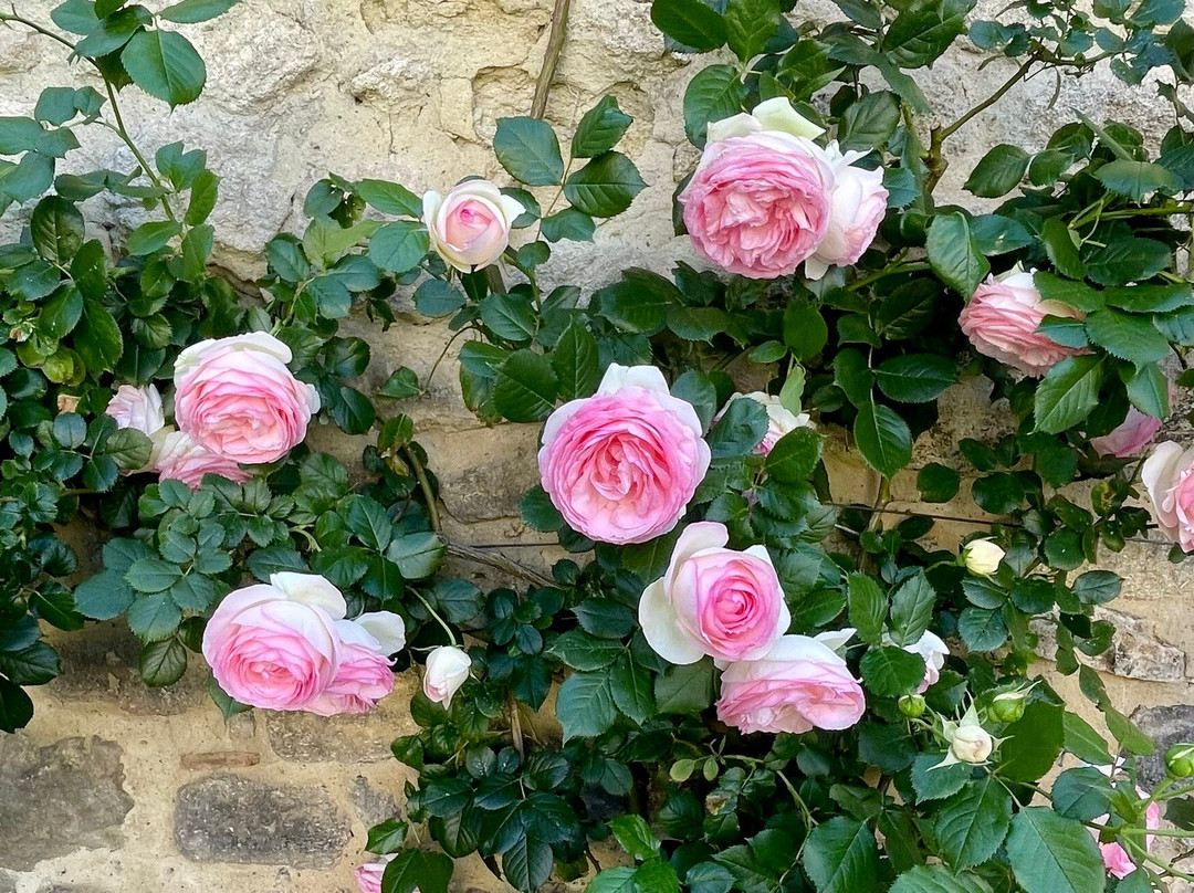 La Maison de La Bourgade主图