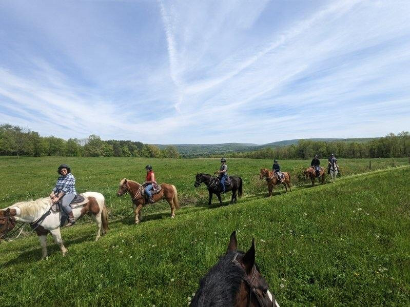 Letchworth Farm主图