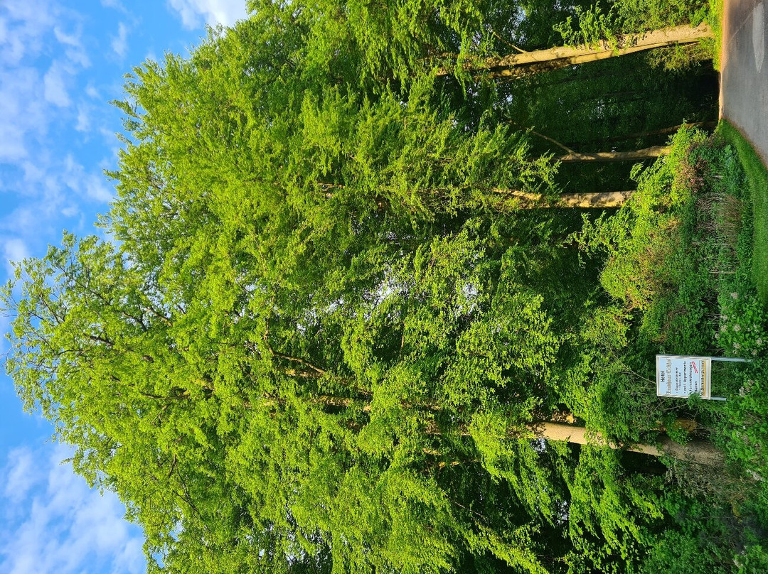 Hotel Landhaus Eickhof主图