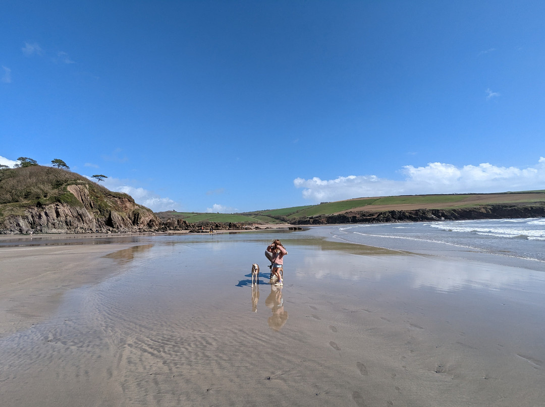 Mothecombe Beach景点图片