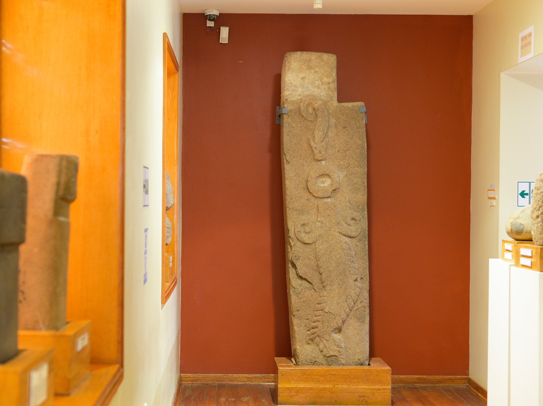 Museo Municipal Carlos Dreyer-普诺大区必去景点