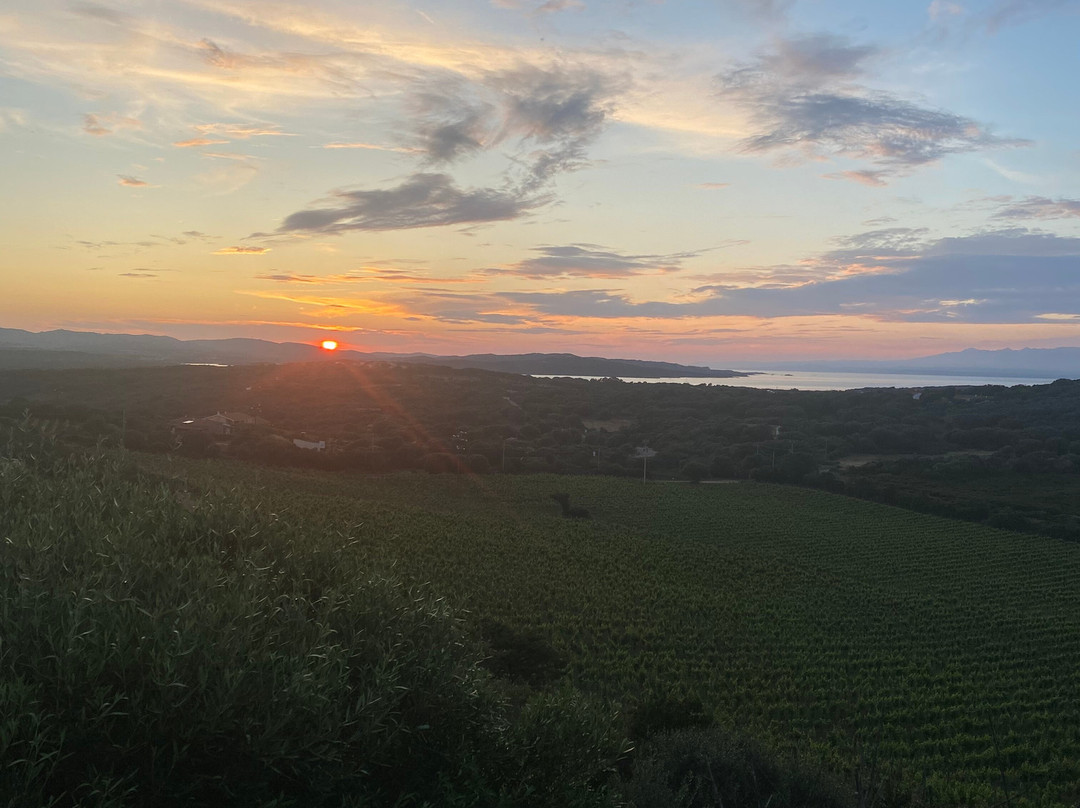 Petra Bianca Tenuta Agricola Biologica主图