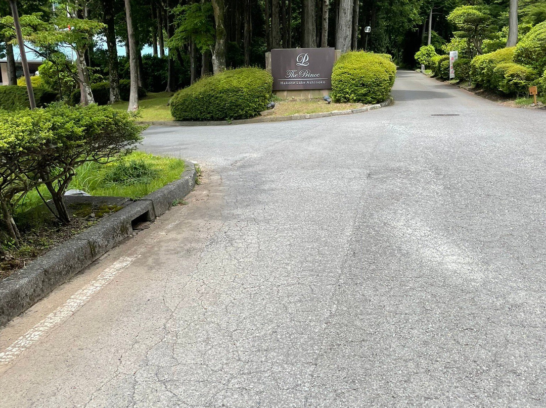 Kuzuryu Shrine-箱根町必去景点