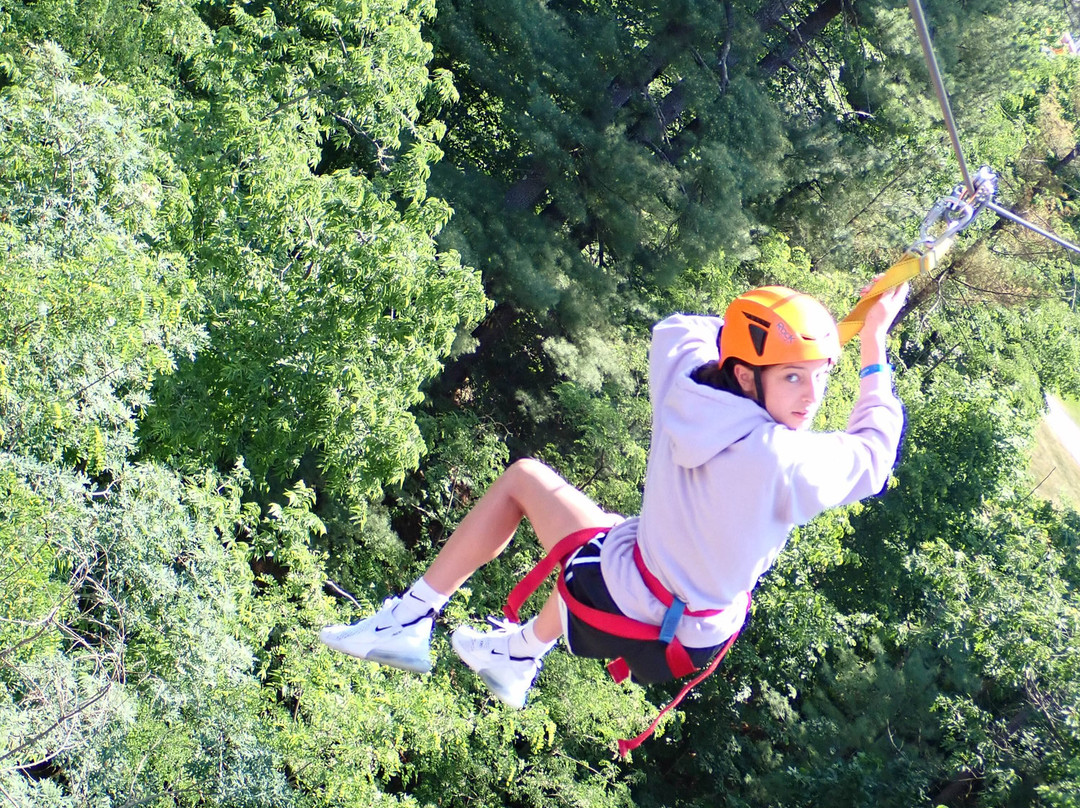 Wilderness Canyon Zip Line Tour景点图片