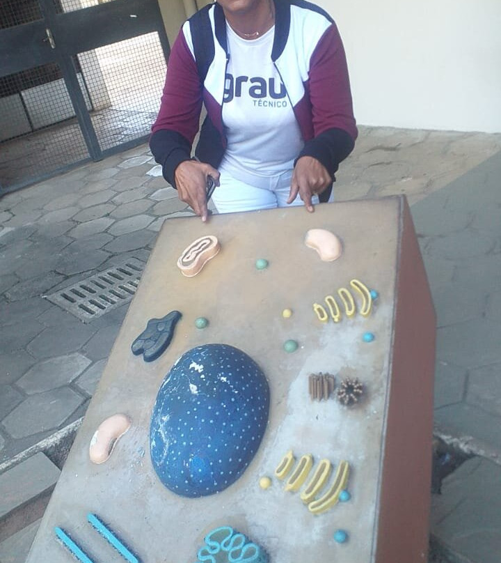 Museum of Morphological Sciences-Natal必去景点