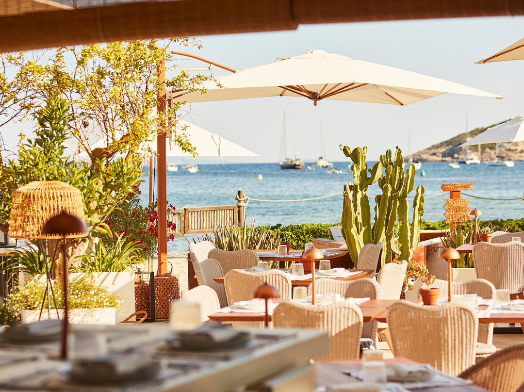 Talamanca餐馆和美食-Gusto