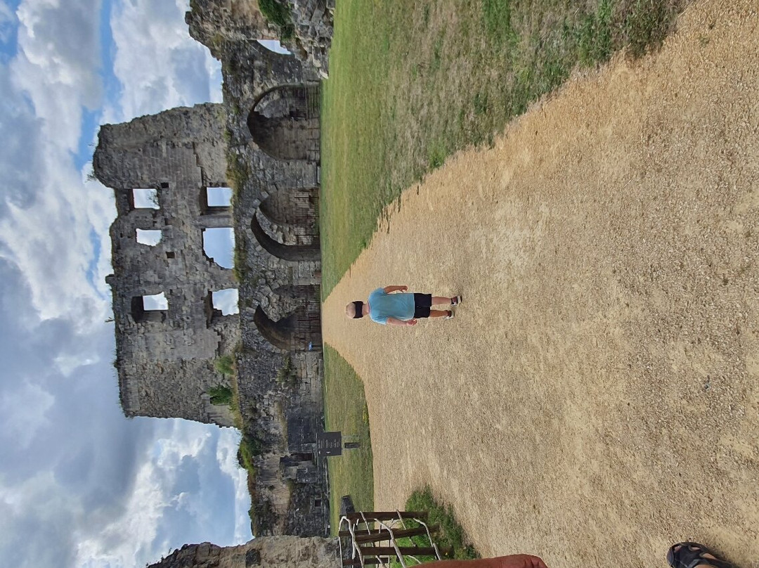 Chateau of Coucy-Coucy-le-Chateau-Auffrique必去景点