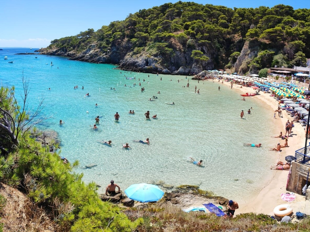 Cala delle Arene-San Domino必去景点