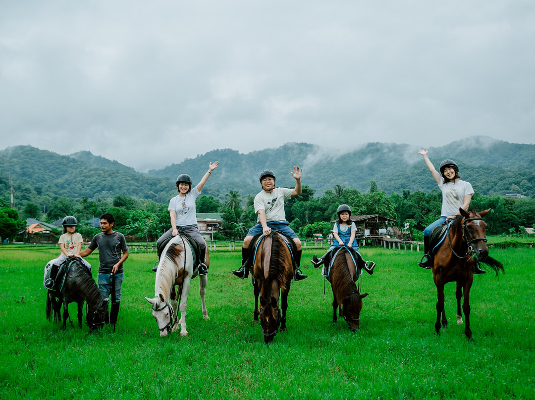 Pong Horse Park-Baan Pong必去景点