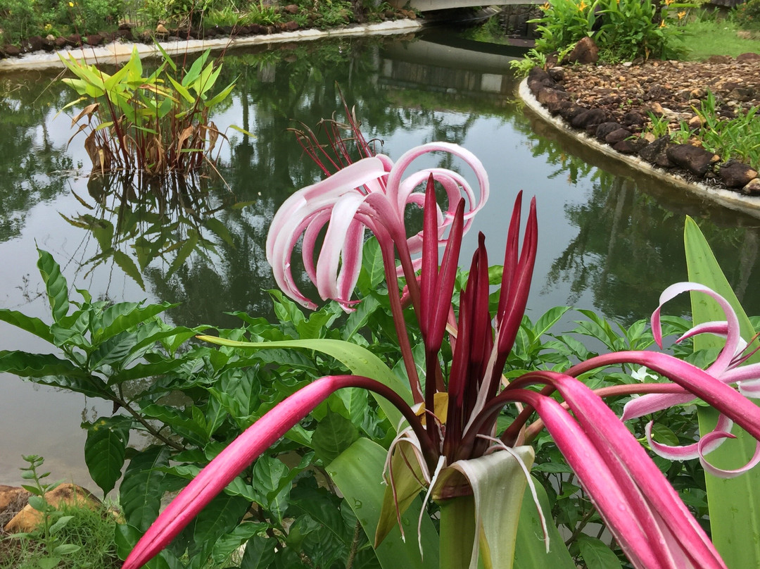 象岛罗摩衍那度假村主图