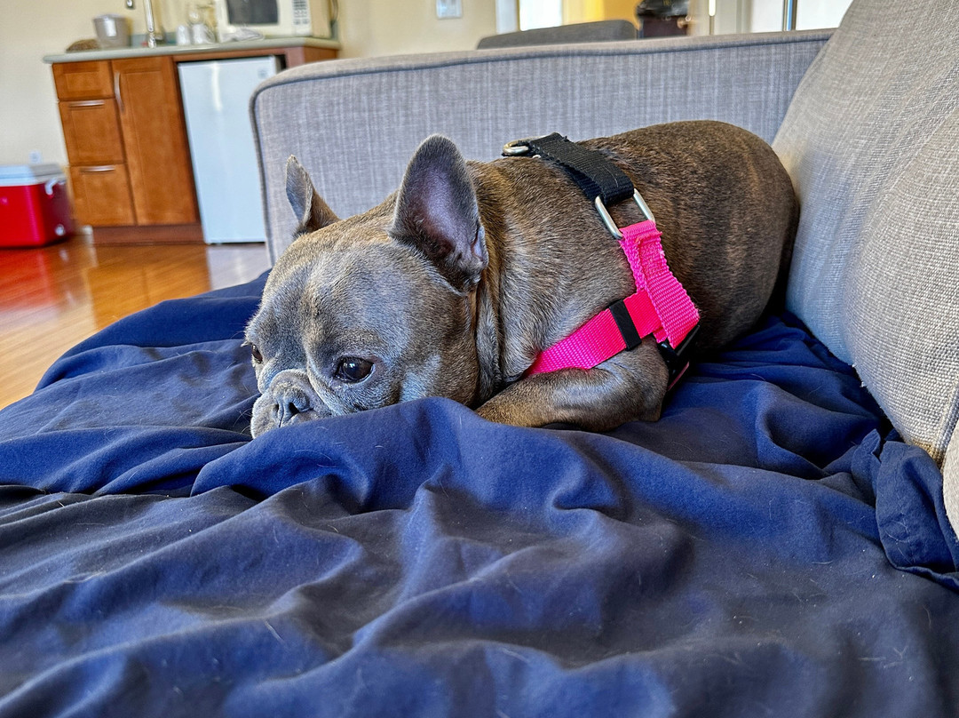 Little River Inn主图