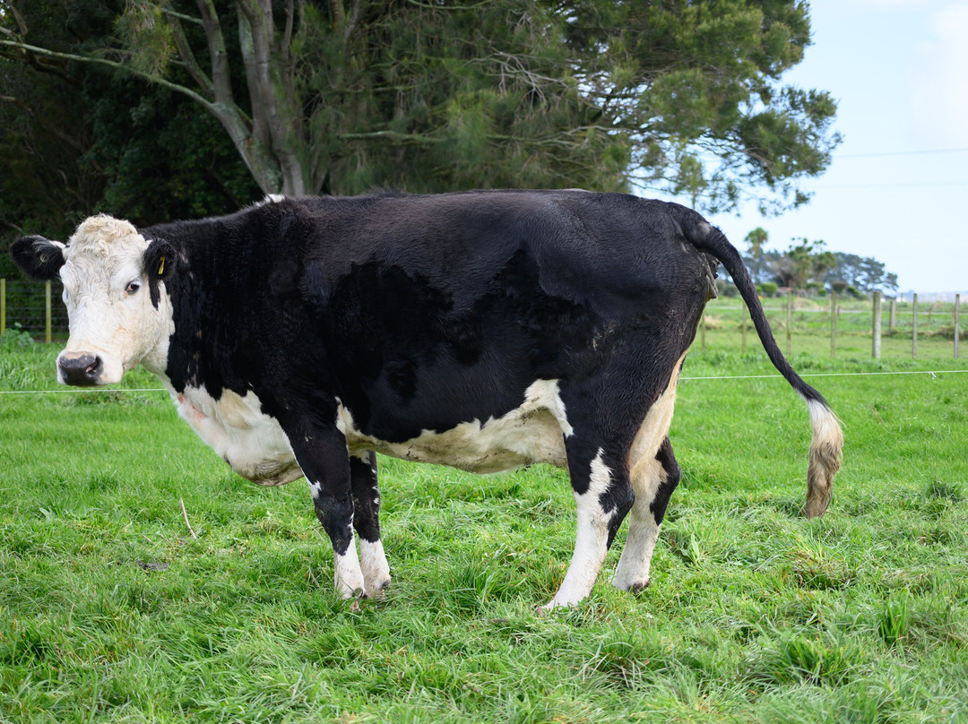 Penhaven Farm Stay主图