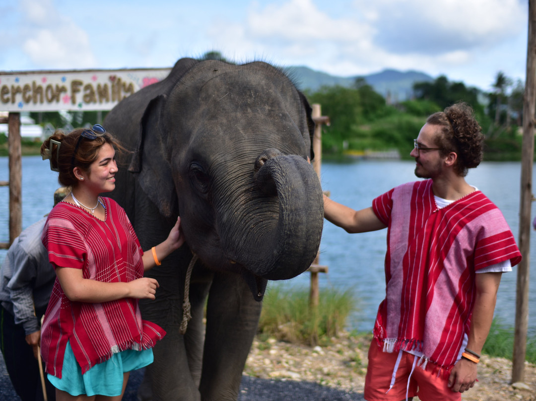 Kerchor Elephant Family Phuket景点图片