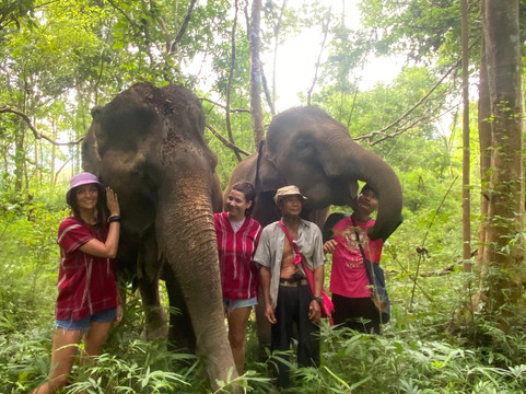 瑞士兰纳旅舍主图