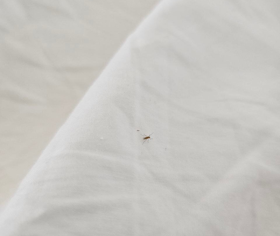 白珍珠别墅主图