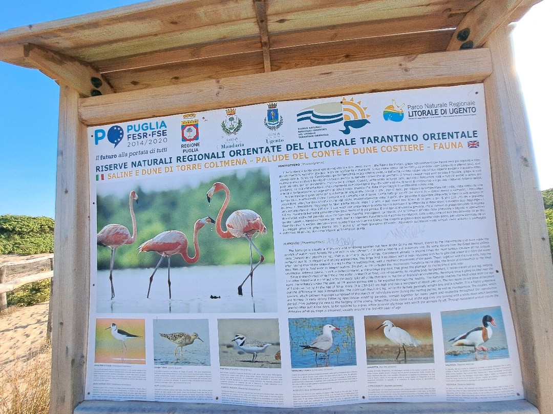 Nature reserve Salina dei Monaci景点图片
