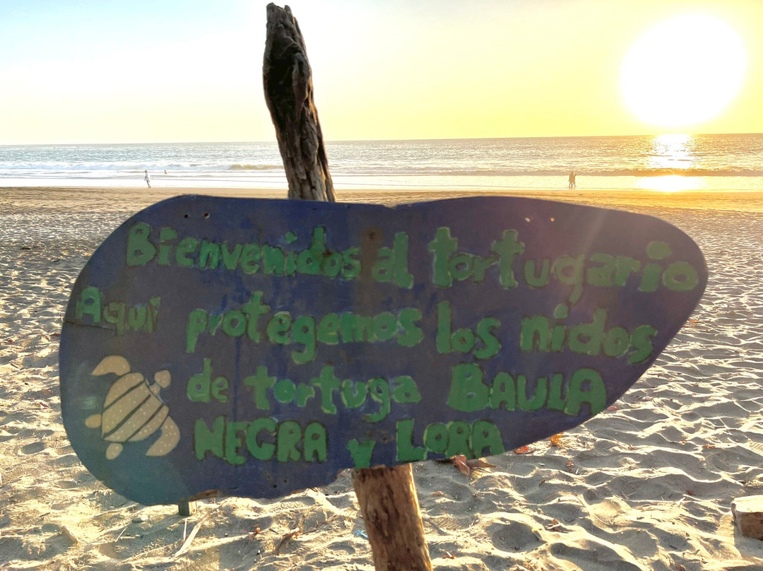 Verdiazul Turtle Sanctuary/Hatchery