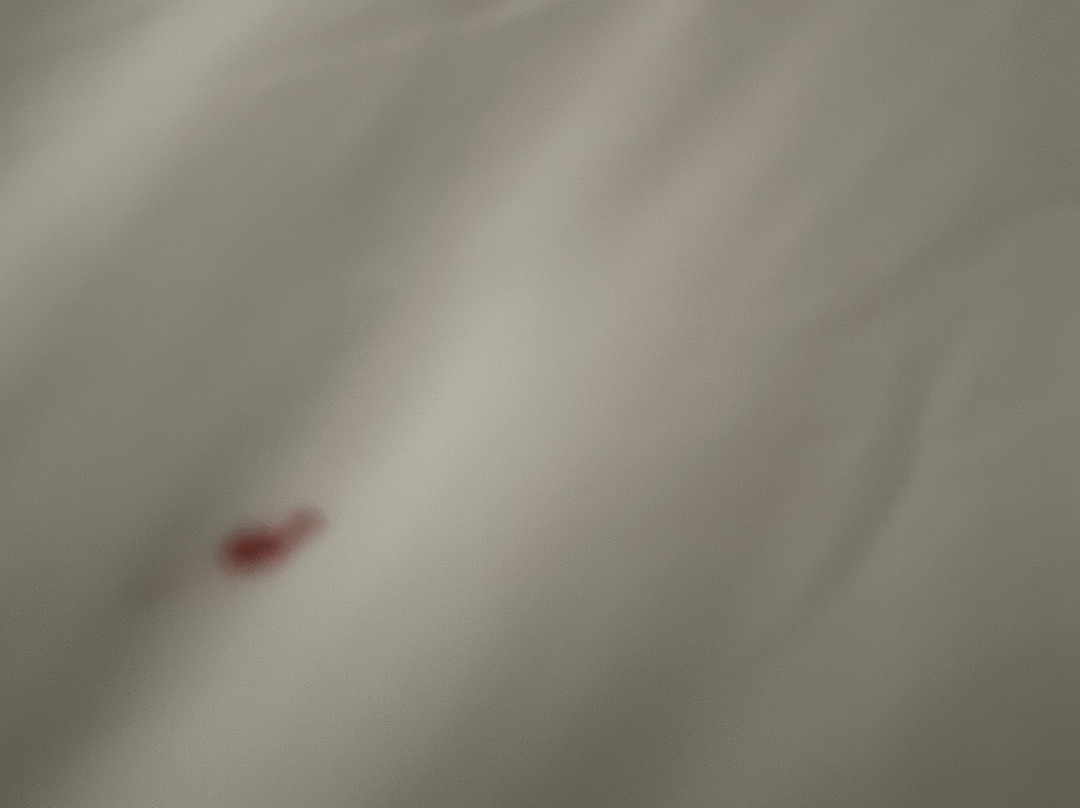 Quality Inn Clemmons I-40主图