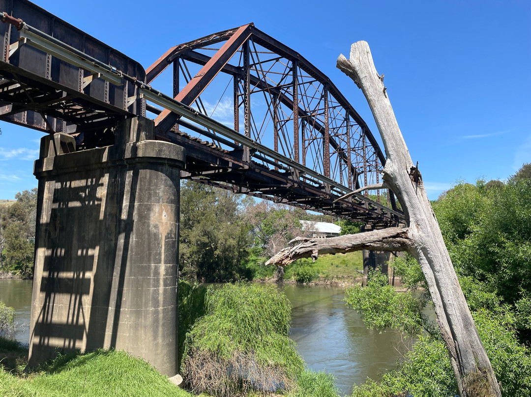 Murrumbidgee River Railway Bridge