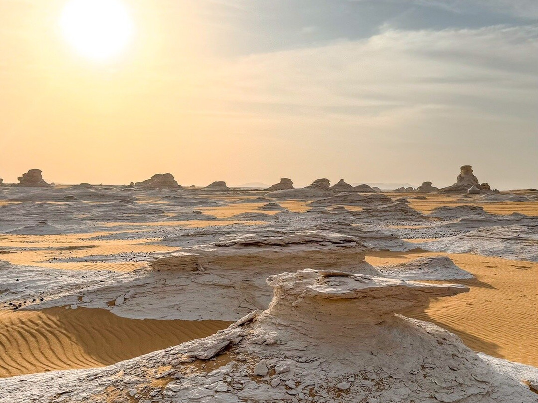 Desert Treasures Tours - Day Tours景点图片