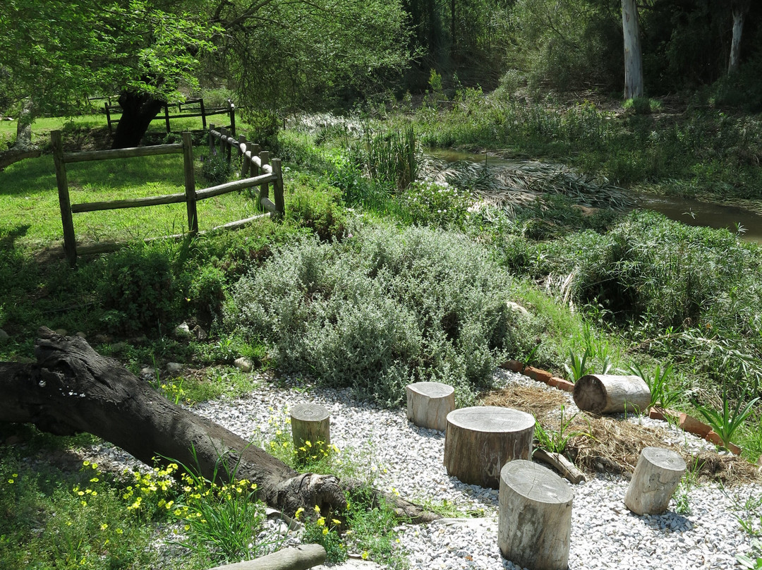 Owl's Rest Olive and Lavender Farm-Robertson必去景点