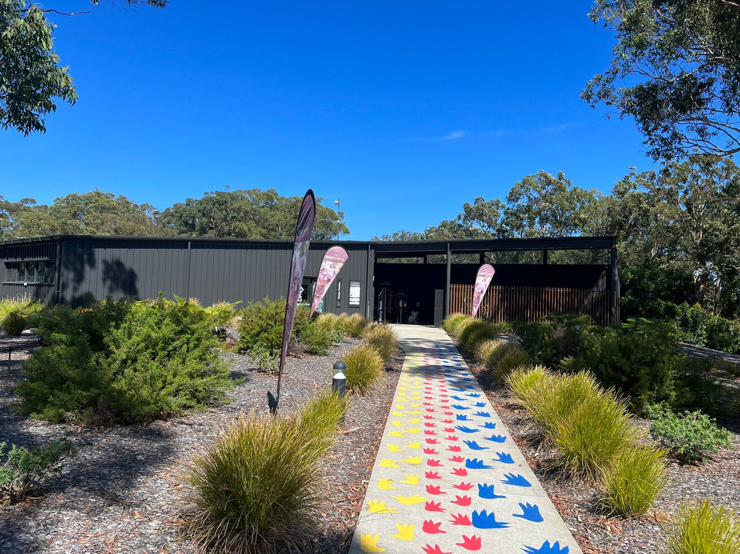 Port Stephens Koala Sanctuary景点图片