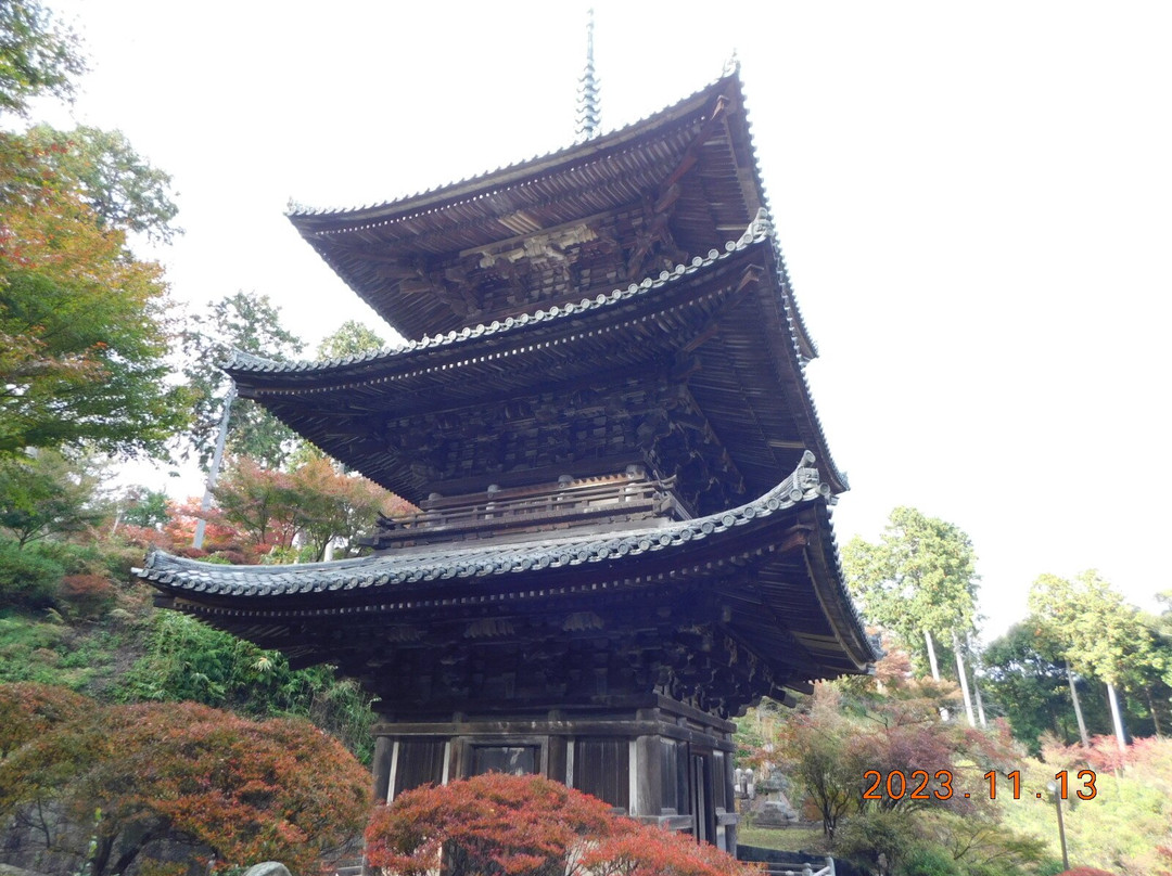 Joraku-ji Temple 3 Storey Tower-湖南市必去景点