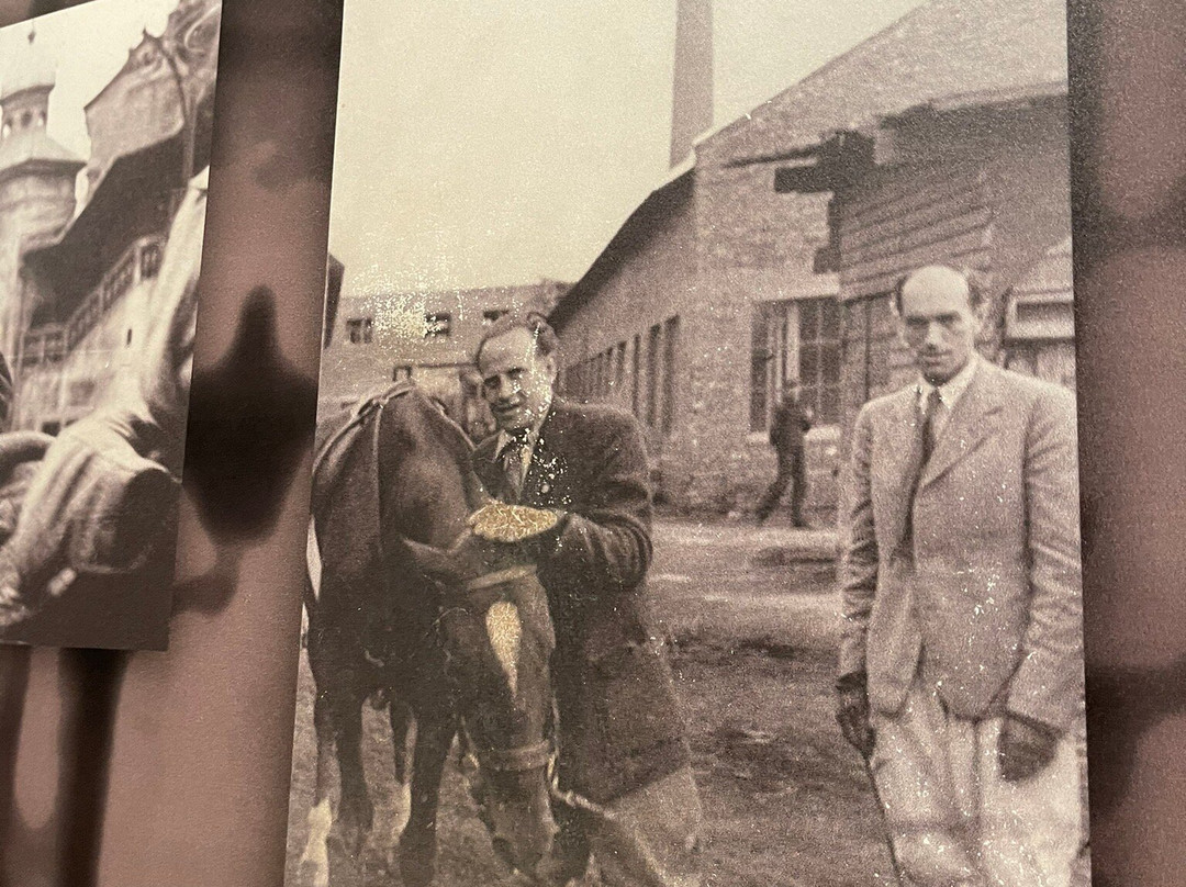 Excursions.city-克拉科夫必去景点