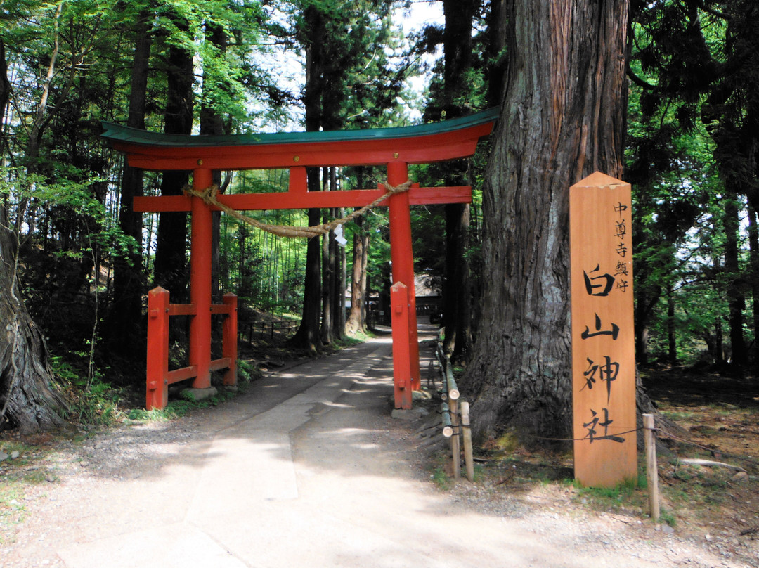 白山神社-平泉町必去景点