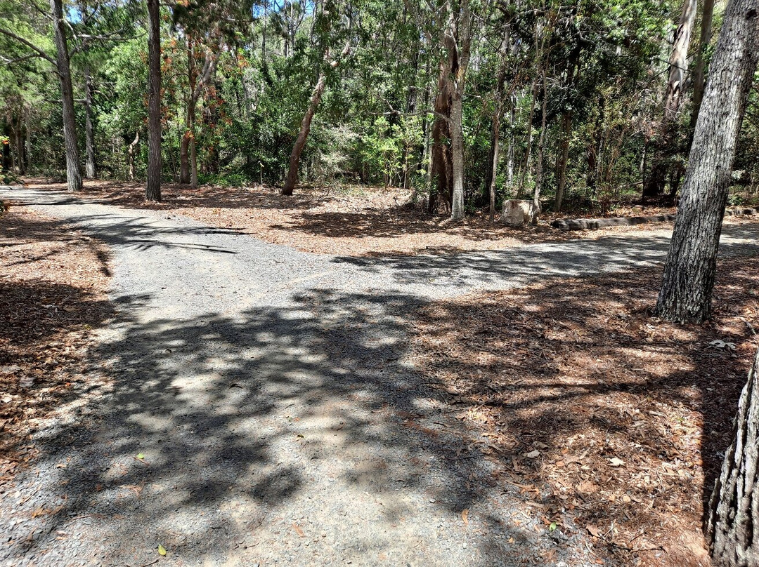 Hervey Bay Botanic Gardens-尤兰根必去景点