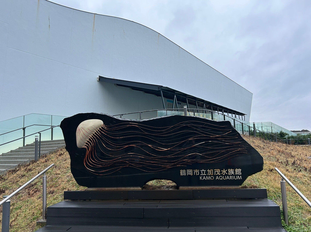 Tsuruoka City Kamo Aquarium景点图片