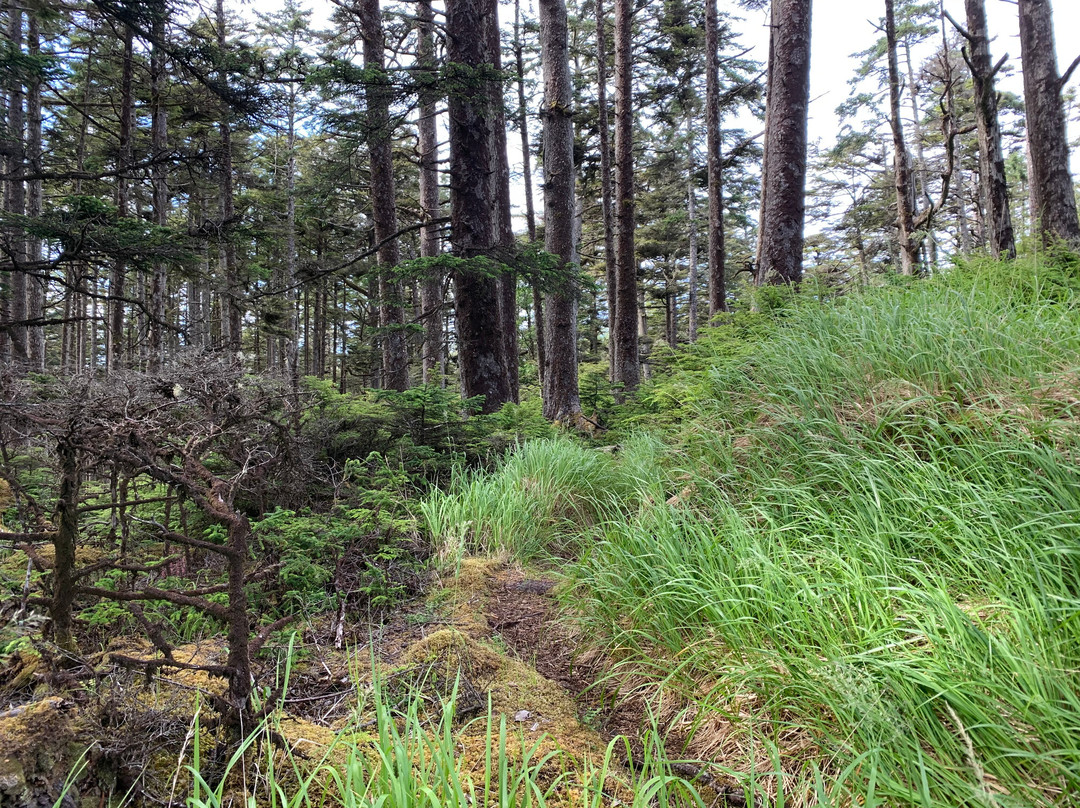 Cape Fife Trail-Masset必去景点