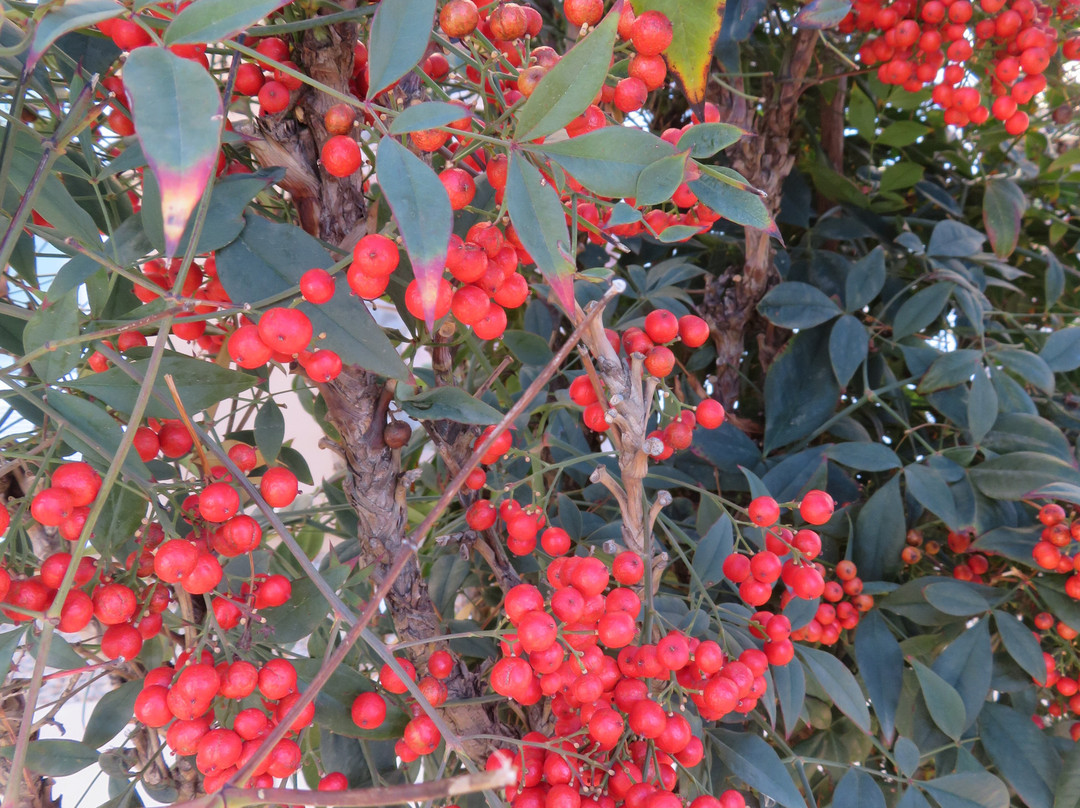 Holiday Inn Express Sierra Vista By IHG主图