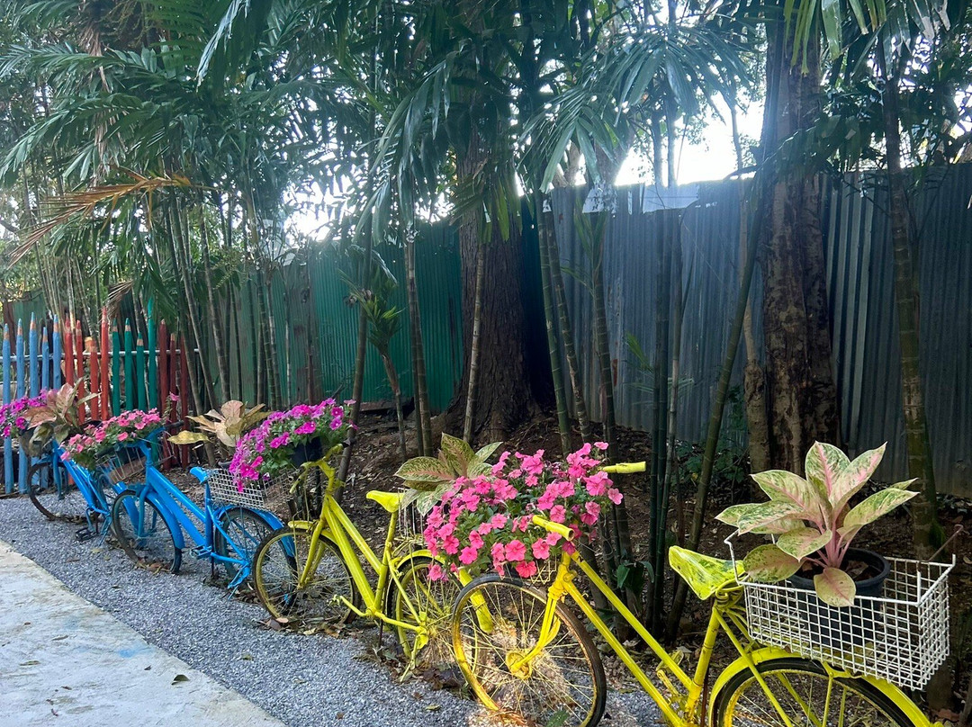 Secret Art Garden景点图片