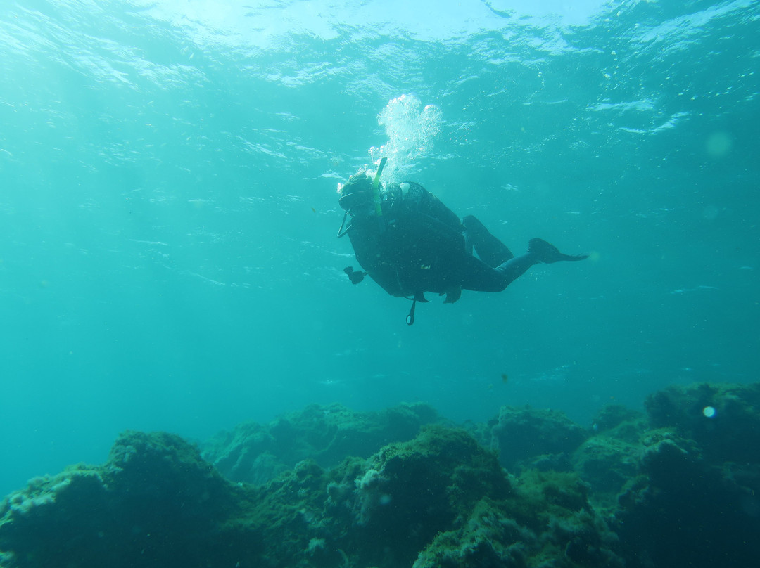 Davy Jones Diving景点图片