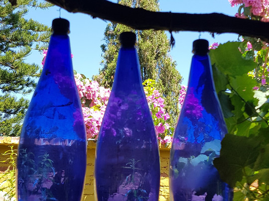 Mosteiro Paraiso-Torrinha必去景点