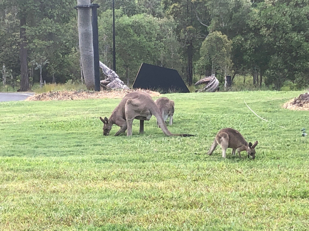 The Crocodile Hunter Lodge