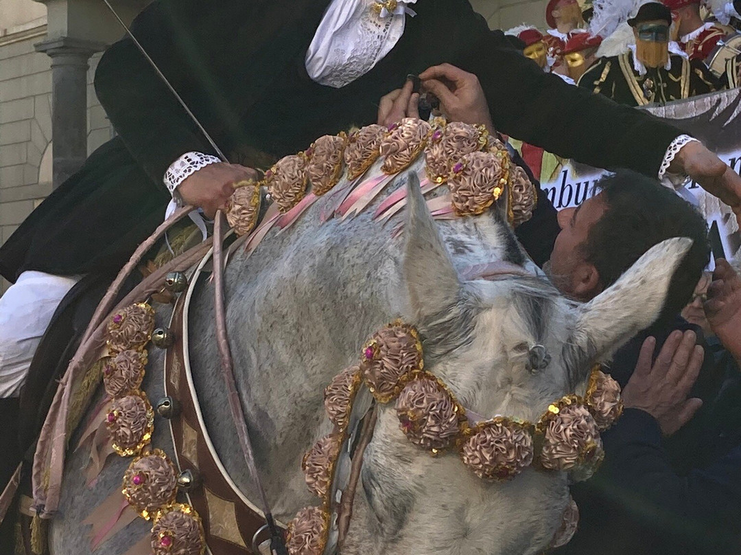 Sa Sartiglia-奥里斯塔诺省必去景点