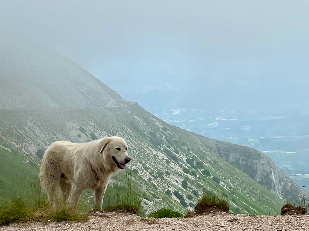 Monte Sibilla景点图片