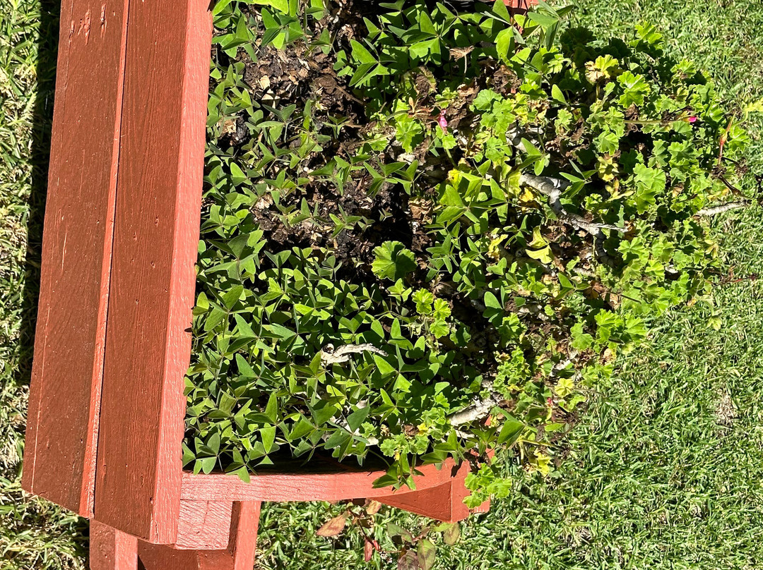 Ipe Tombe Guest Lodge主图