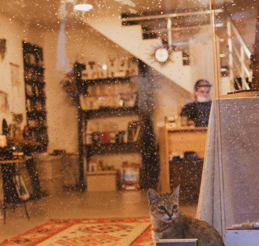 The store of warmth-巴统必去景点